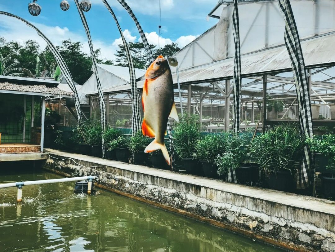Area Pemancingan